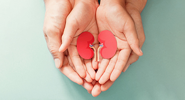 Have a Kidney disease? These foods are bad for you